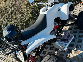 quad-beeline-bestia-5-5