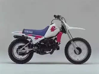 recherche-piwi-80-1993-1991-rose