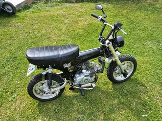 skyteam-pro-dax-125-vergaser-modell