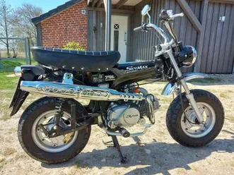 skymax-dax-nachbau-neuwertig