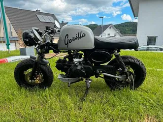 skyteam-monkey-50-ccm-gorilla