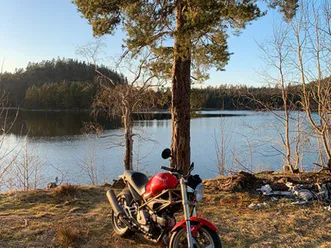 ducati-monster-a2-reg