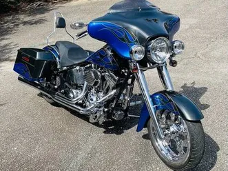 2008-thunder-mountain-custom