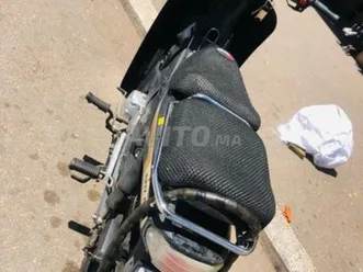 c50 modèle 2019 chhar 11