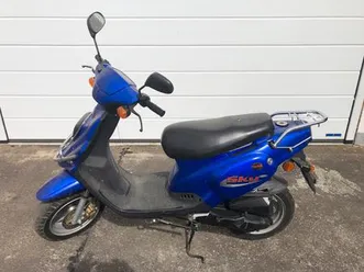 roller-pegasus-sky-50