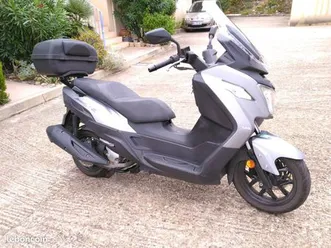 scooter-sym-joy-max-300