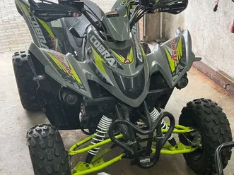 aeon-cobra-420-sx-lof