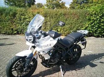 triumph-tiger-800-xrt-wenig-kilometer-um-unfallfrei