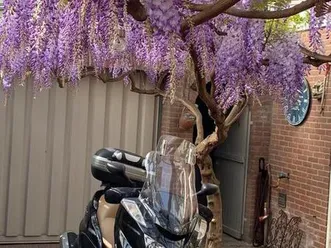 yamaha-majesty-400-abs-motoren-yamaha-marktplaats