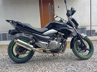 suzuki-gw250-inazuma-odechow