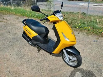 peugeot-viva-city-mofa-roller