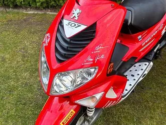 peugeot-speedfight-2-100-ccm-wrc-307-tuv