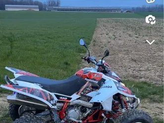 quad-450-triton-access-homologue