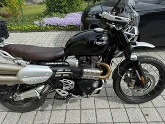 triumph-scrambler