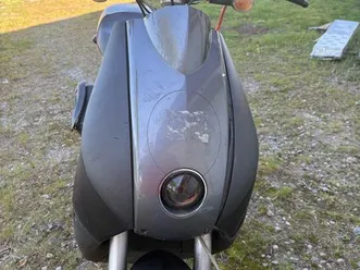 peugeot-ludix-snake-furious