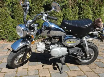 other-monkey-open-concept