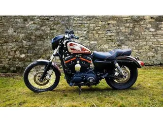 vendo harley-davidson 1200 custom (2004 - 06) - xl 1200c usata a sedriano (codice 9700040) - moto.it