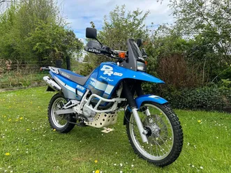 suzuki-dr-800s-big