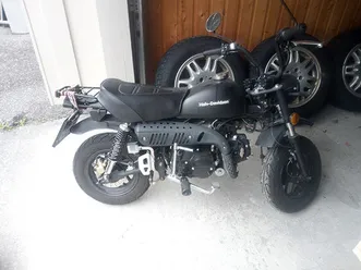 skyteam-monkey-bike-125-ccm