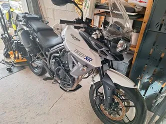 tiger-triumph-800-xr-a082-weiss-mit-original-kofferset