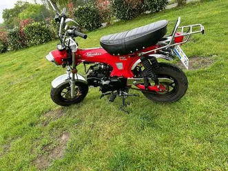 skyteam-st-125-ahnlich-wie-honda-dax