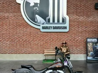 harley-davidson-softail-cross-bones-1584-2009-1584-cm3-moto-custom-36-605-km-noir