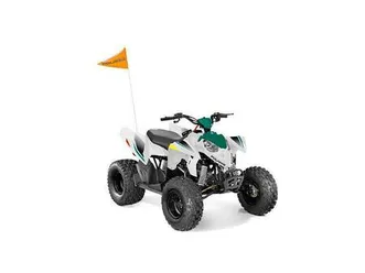 2025-polaris-outlaw-110-efi