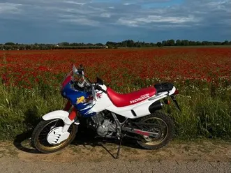 vend-650nx-dominator