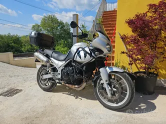 trumph-tiger-955-2007