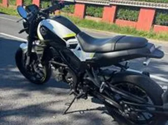 benelli-leoncino-250