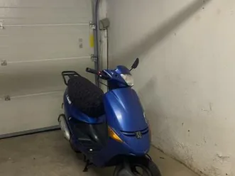 peugeot-zenith-25er-papiere