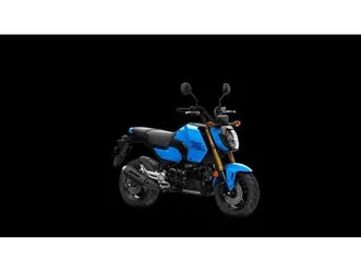 honda msx 125 grom 2025 tageszulassung