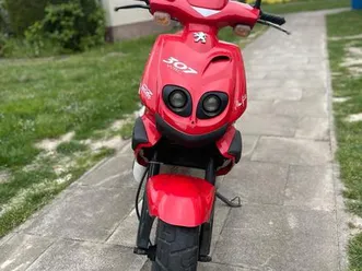 peugeot-tkr-307-wrc-25er