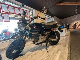 honda z 125 monkey mod. 2025 - sofort verfügbar