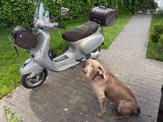 vespa-125-i-e-3v-touring-sondermodell-perlmutt-apuano