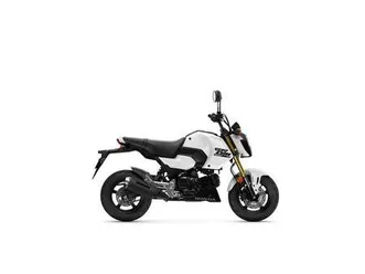 honda-msx-125-grom-tz-sofort-lieferbar