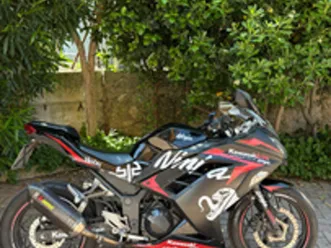 kawasaki-ninja-300-a2
