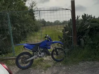 2021-125-yz