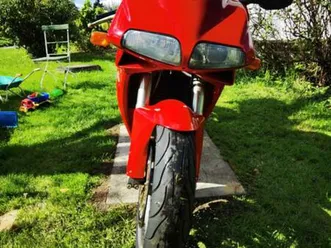 ehrliche-ducati-996-bj-2001-32-000-tkm-tuv-09-2026