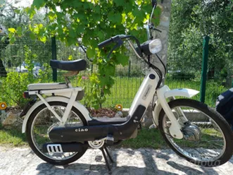 ciao px 1983 targa oro fmi