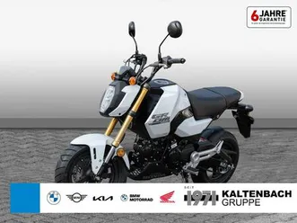 honda msx125 grom b196 führerschein