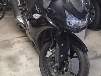 kawasaki-ninja-250r-canton-basel-landschaft