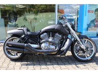 harley-davidson v rod muscle