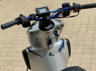 stunt nouveau diwana 2022 à vendre