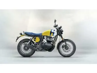 royal enfield bear 650 - wild honey