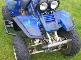 quad warrior 350