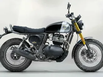 royal enfield bear 650 golden shadow