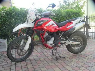 swm superdual x 600 abs- 2019