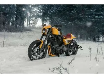 xl1200cx full custom bike