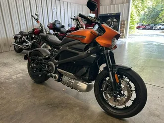 2020 harley-davidson livewire™